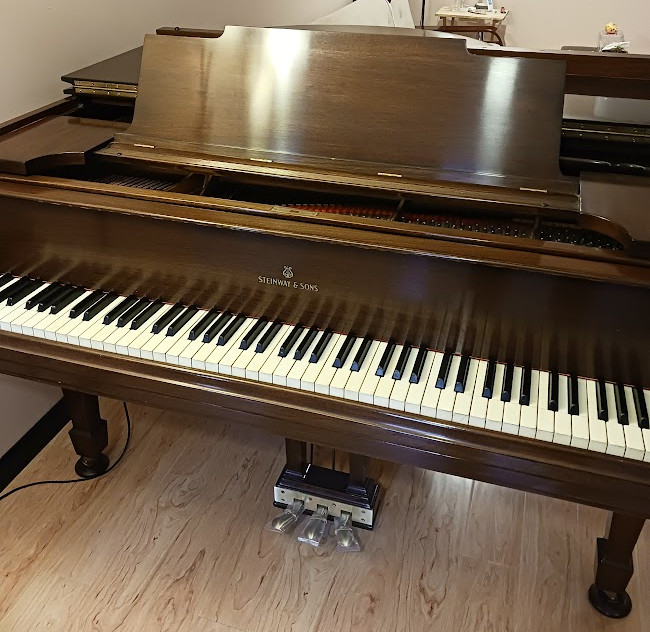 Steinway Model M 1925 - Front view