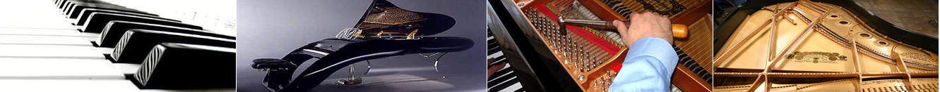 NJ Piano Tuner & NJ Piano Tuning